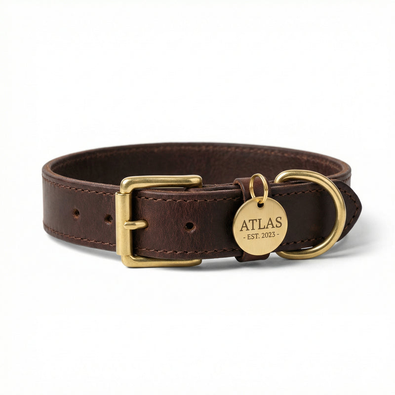 Industry Pet Products